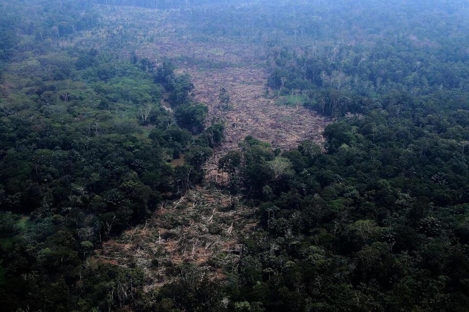 How close is the Amazon to a 'tipping point?' Brazil’s election could ...