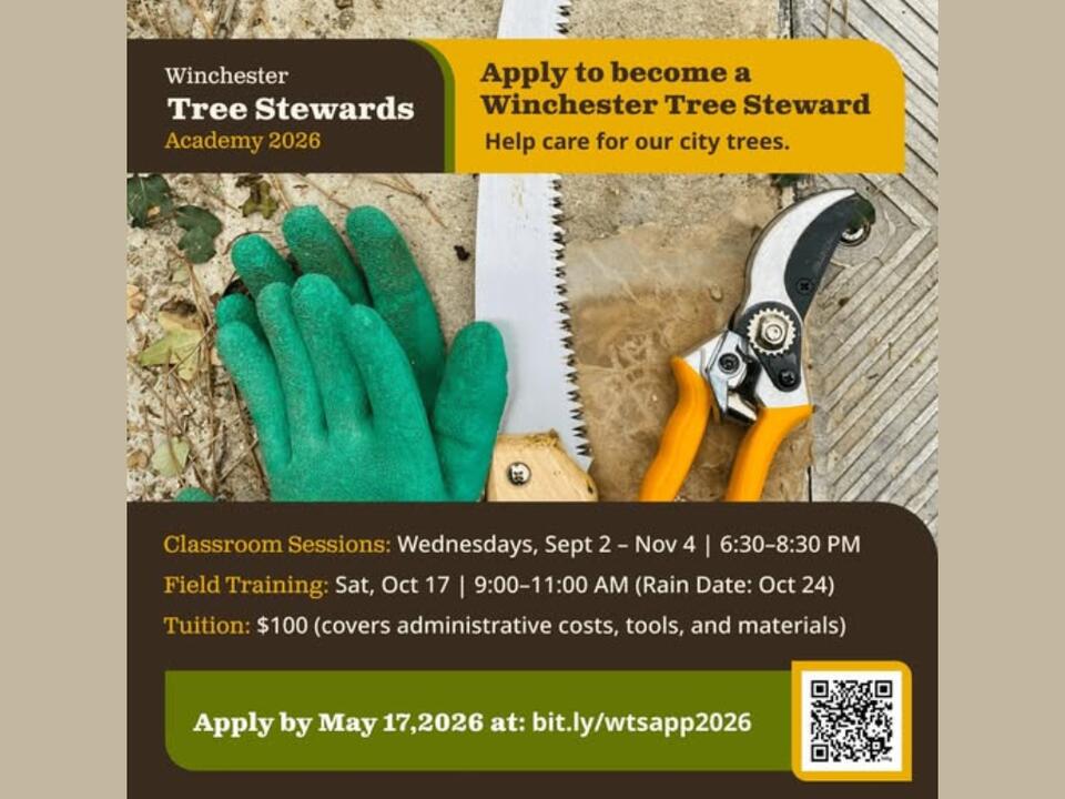 Winchester Forms New Volunteer Group to Care for Urban Trees - NewsBreak