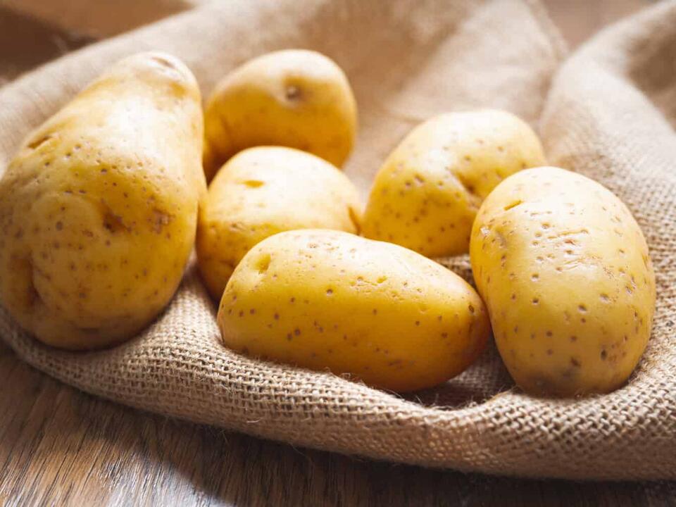 How to Grow Hydroponic Potatoes A Complete Guide