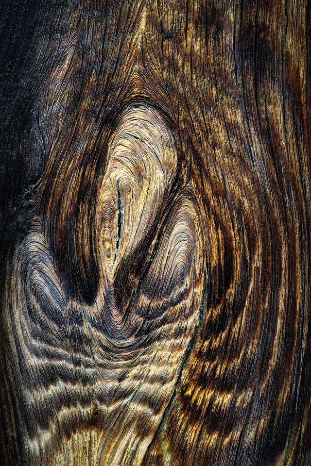 Paintings Made by Time - NewsBreak