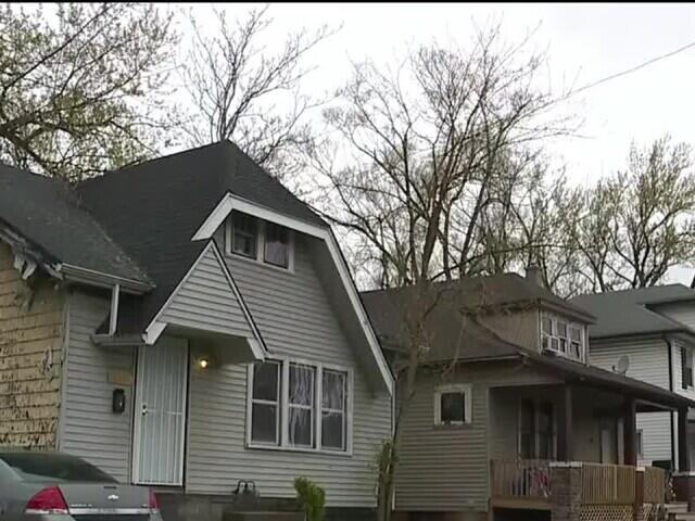 Detroit introduces Dead, Dangerous and Diseased Tree program - NewsBreak