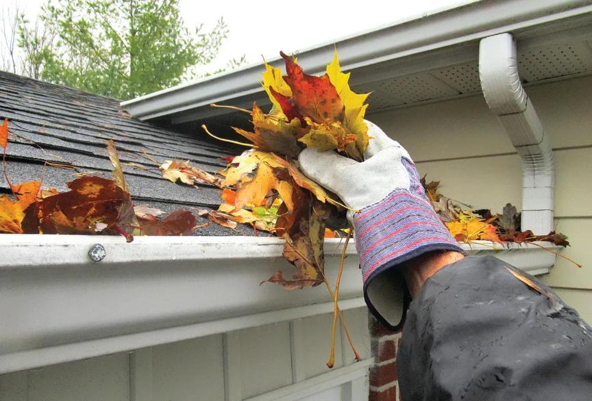 How a fall cleaning can protect your property from pest infestations ...