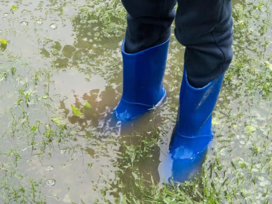 My neighbor’s sump pump drains directly onto my property — now my