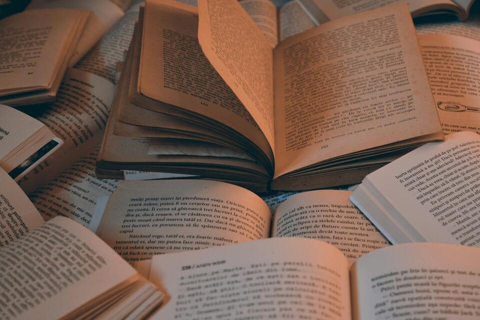 Do You Distinguish Between “Best” and “Favorite” Books? - NewsBreak