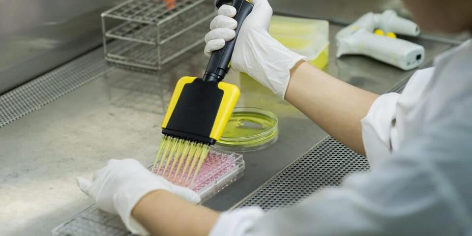 Study Validates High-Throughput Proteomics for Measuring Endothelin-1 ...