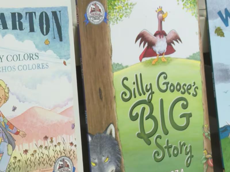 Dolly Parton’s Imagination Library coming to southern Illinois