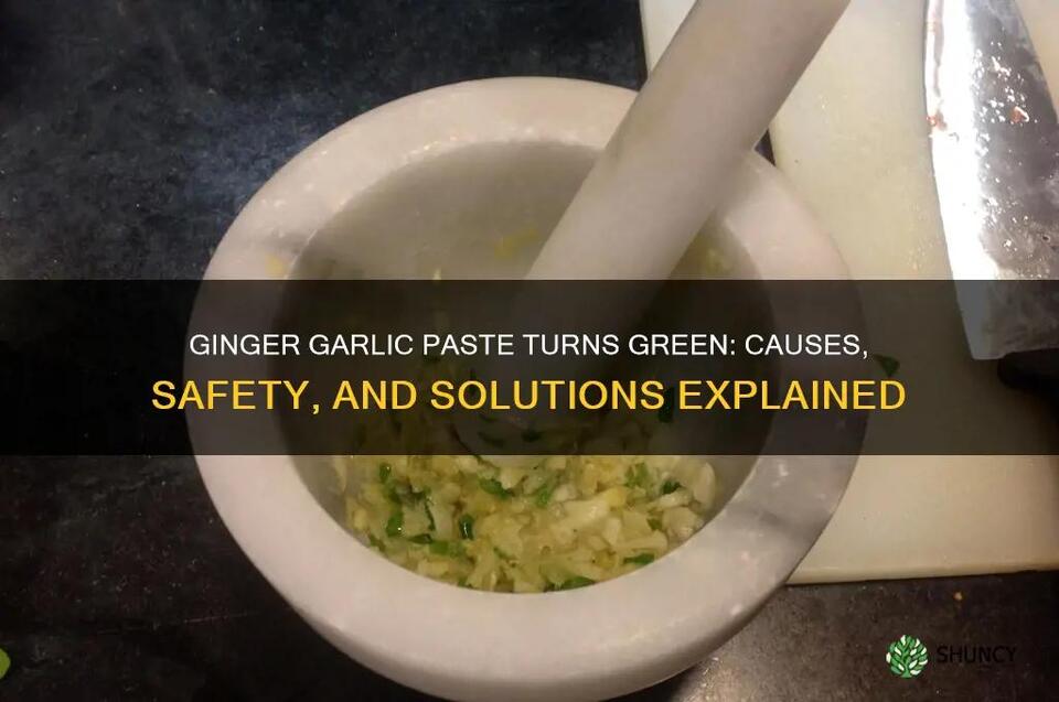 Ginger Garlic Paste Turns Green: Causes, Safety, And Solutions ...