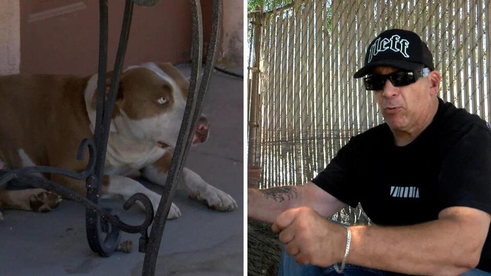 Cabazon man accused of beating dog in viral video speaks to News ...