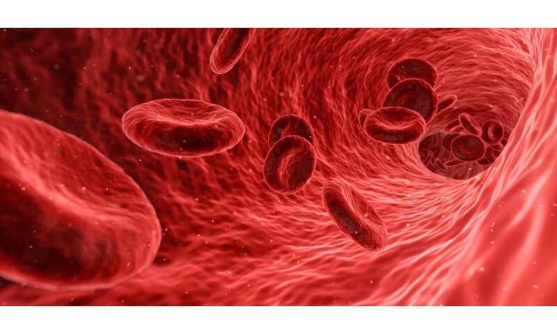 Scientists recruit red blood cells to deliver genetic cargo with instructions to kill cancer