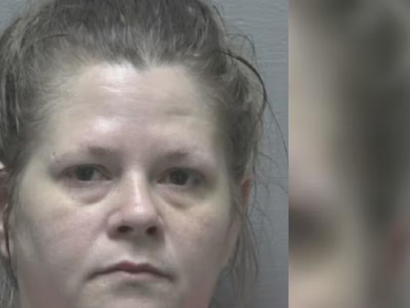 Mother charged with attempted murder, accused of setting home on fire ...