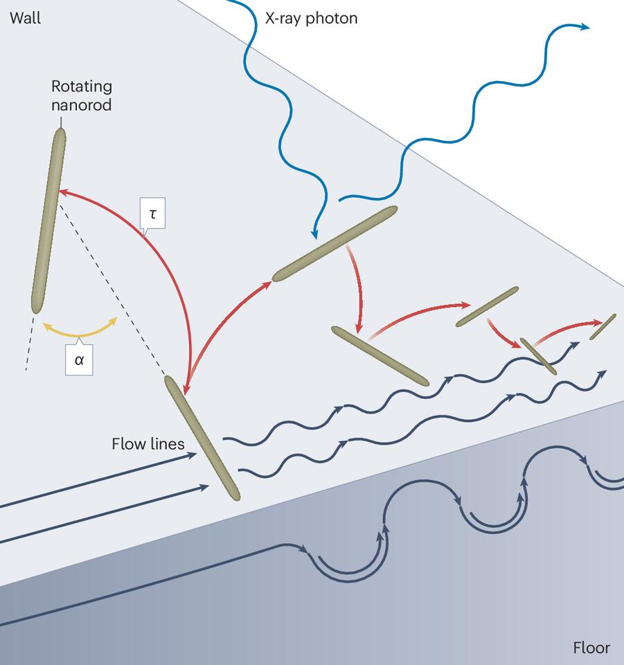 Microscopy of microstructures - NewsBreak