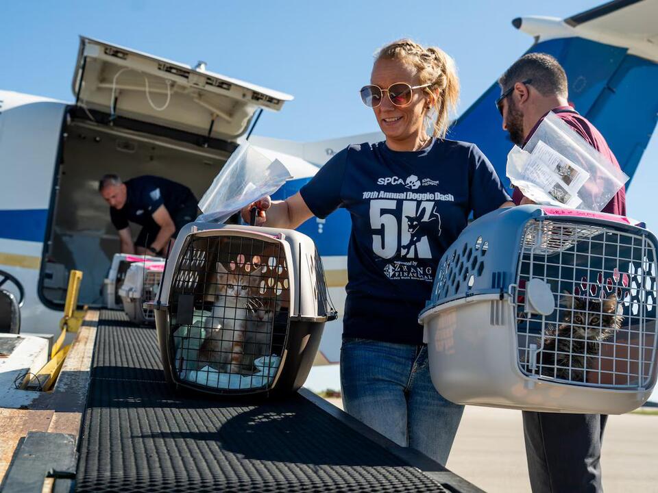 Nearly three dozen 4pawed hurricane refugees arrive by plane in Kalamazoo