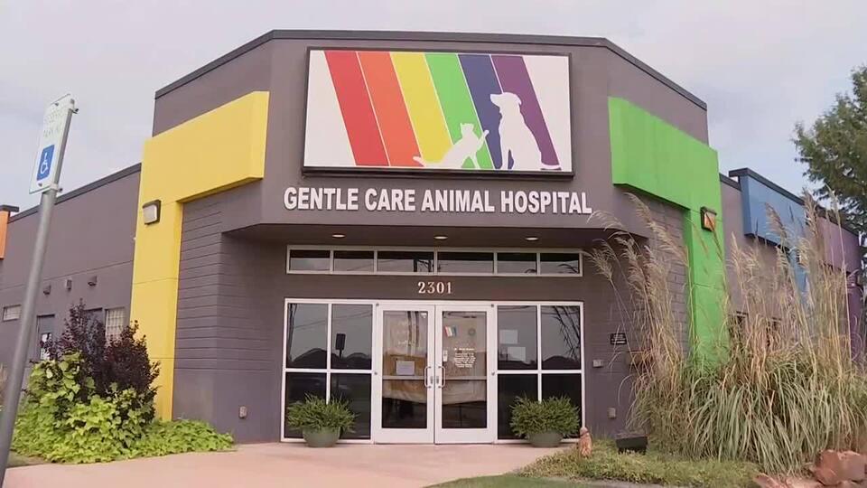 Edmond animal hospital rebrands after controversy involving former ...