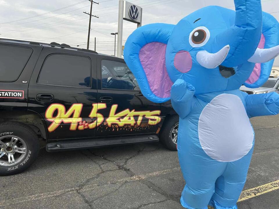 TSM's Unofficial Halloween Mascot, Elly The Dancing Elephant NewsBreak