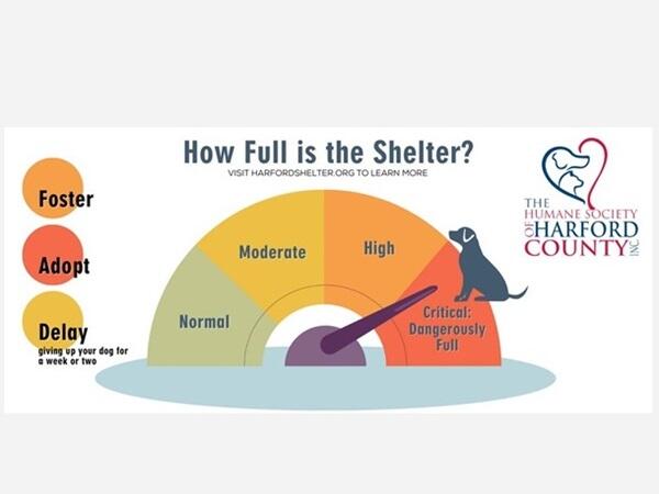 Harford Humane Society overwhelmed after sudden influx of dogs