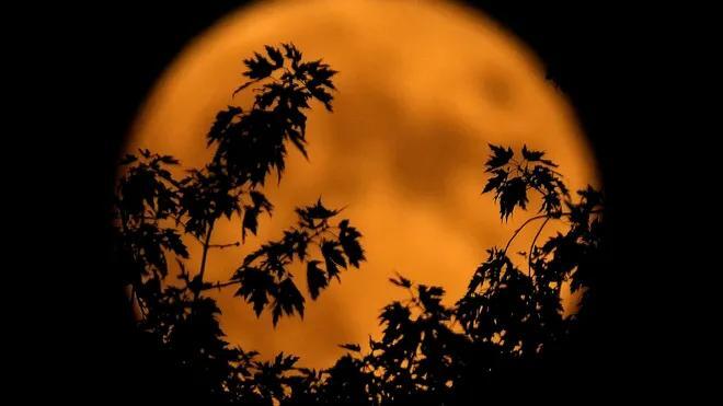 Catch the next full moon, the Hunter’s moon, rising before Halloween ...
