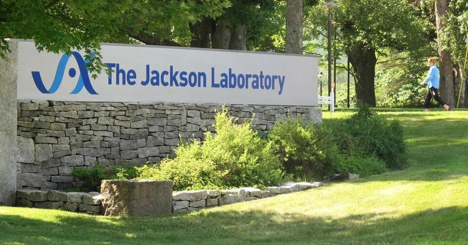 Former employee sues Jackson Lab claiming it failed to prevent sexual ...