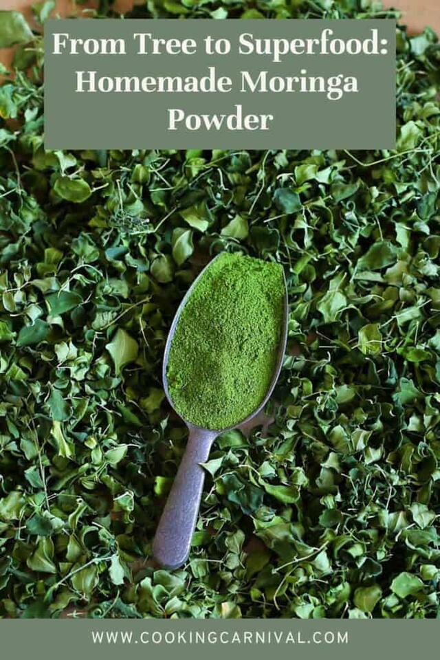 How to Dry Moringa Leaves For Homemade Moringa Powder - NewsBreak