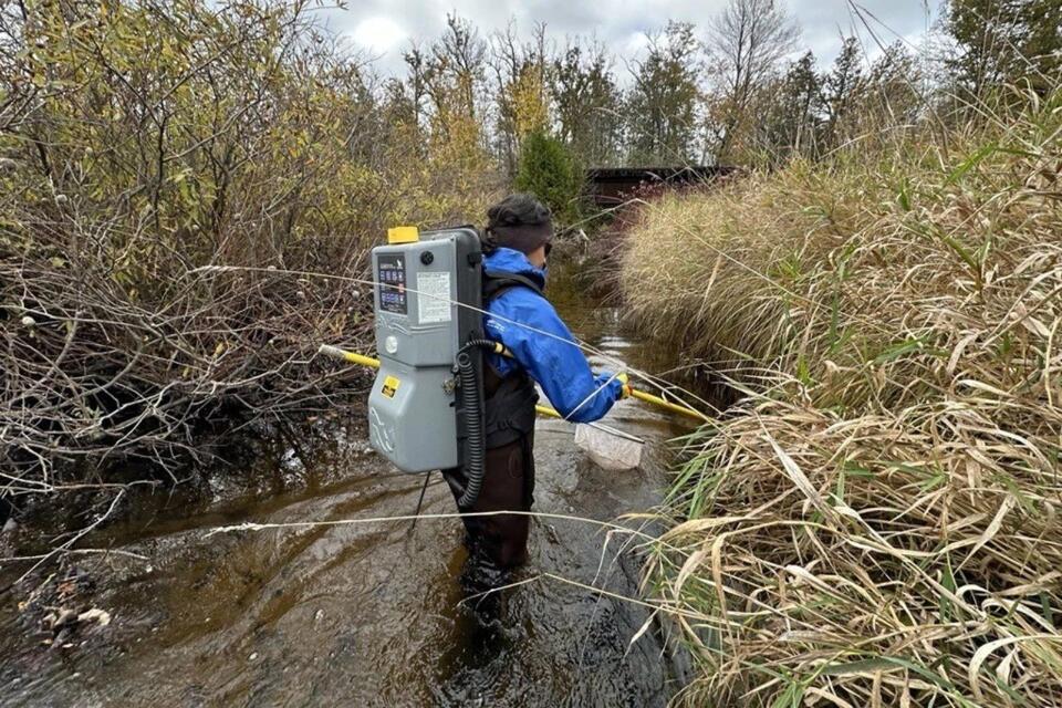 PHOTOS: Explaining the New York DEC #39 s #39 Electroshocking Backpacks