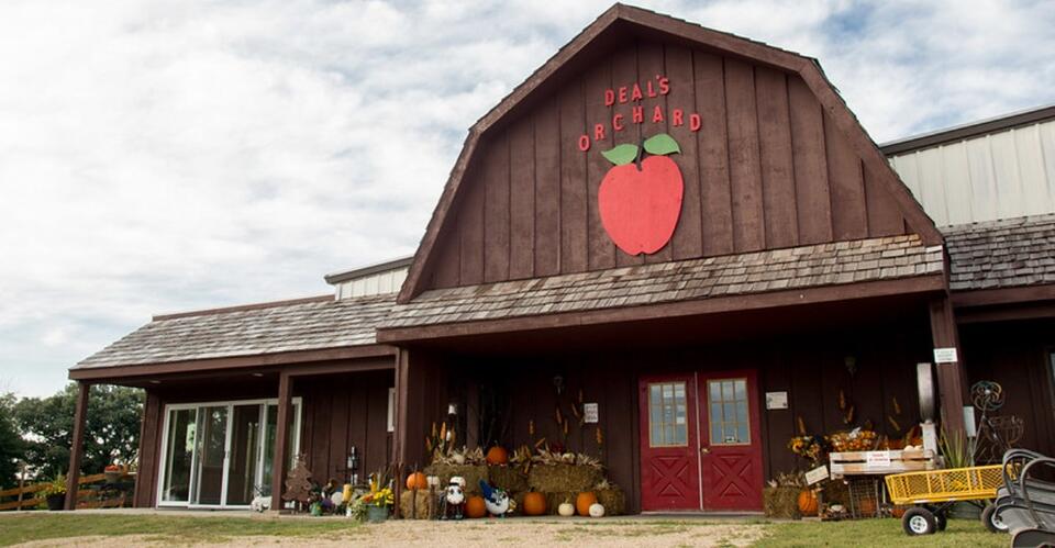 This Iowa Orchard Has Been Growing Apples In The Same Family Since 1917 ...