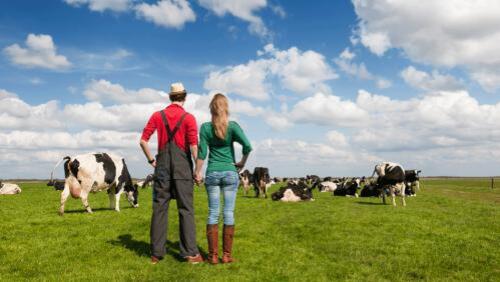 Chefs For Farmers Food & Wine Launches Awards Honoring Dallas Hospitality