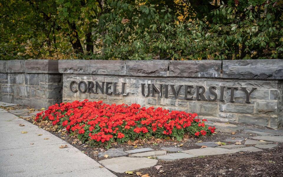 'Culture of fear': Cornell faculty debate no-confidence resolution