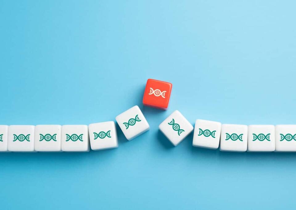 250 Scientists Are Building The - 3UVued 12ODsRhf00