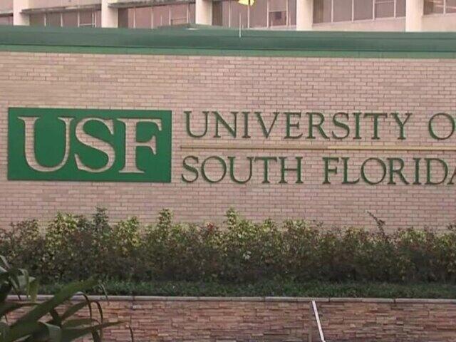 USF fires men's basketball coach Brian Gregory - NewsBreak