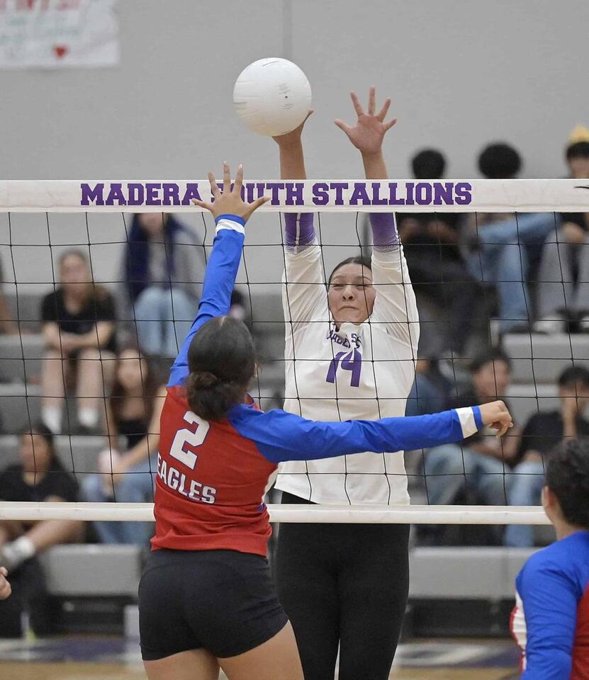 Stallions struggle against Eagles