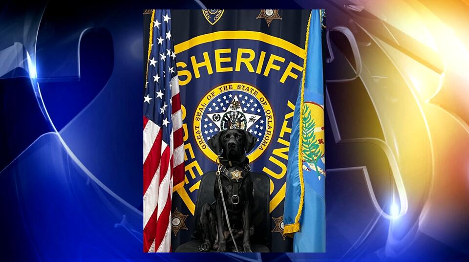 Creek County Sheriff's Office announces retirement of K9 Ranger - NewsBreak