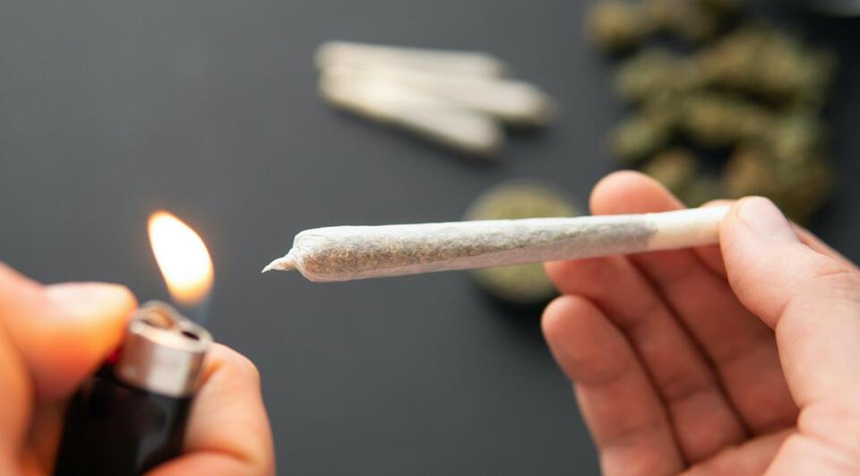Marijuana Use Linked to Lower Opioid Needs During Surgery, Study Finds ...