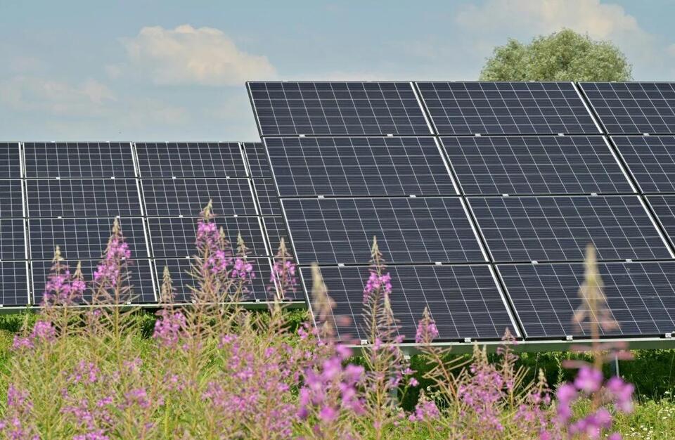 Cox secures financing for 75.2MW solar project in Guatemala - NewsBreak
