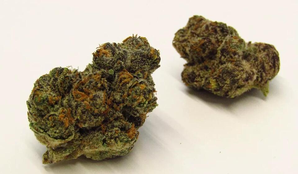 Five Craft Cannabis Growers to Try in Colorado - NewsBreak