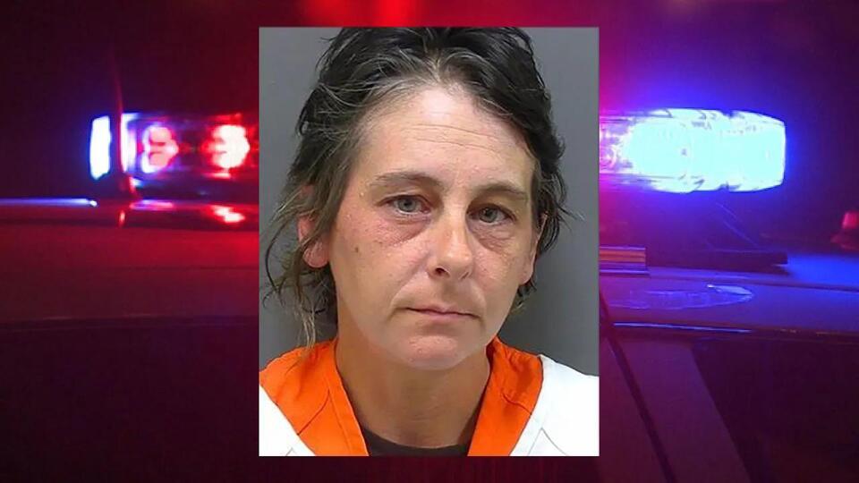 Racine woman sentenced; charged with child neglect, animal mistreatment ...