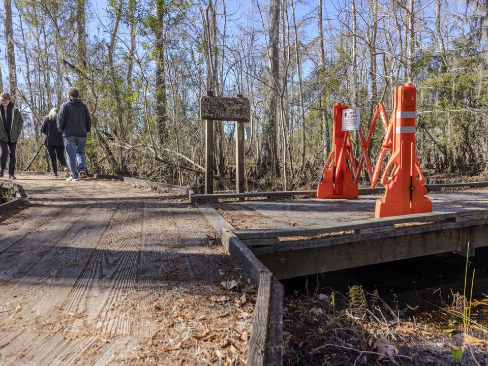More than 2 years after Hurricane Ida's fury, Barataria Preserve trails