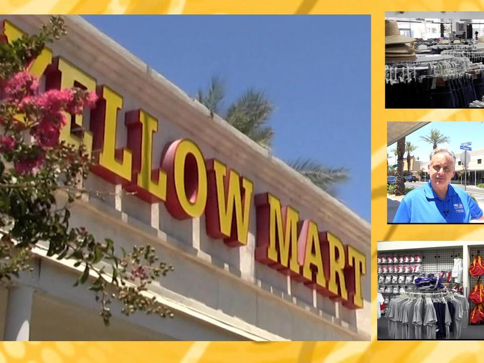 Our Desert Past Yellow Mart