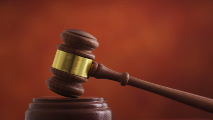 Beaver County woman charged after 13 dogs and a cat found in ...