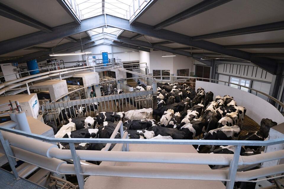 39 Facts About Robotic Milking Systems - NewsBreak