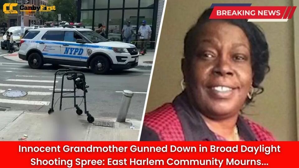 Innocent Grandmother Gunned Down in Broad Daylight Shooting Spree: East ...