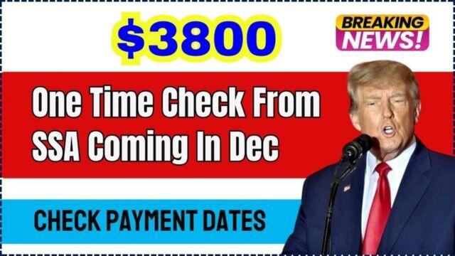 USA $3800 SSA Check: December 2024 Eligibility and Payment Dates You ...