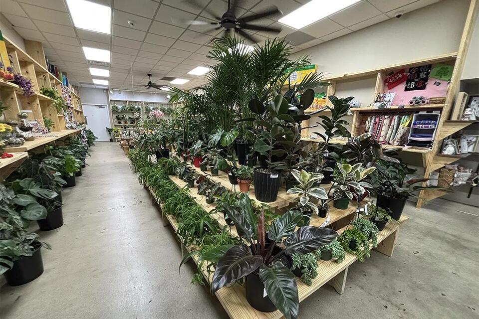 Rustic Roots Shoppe LLC opens in Noblesville - NewsBreak