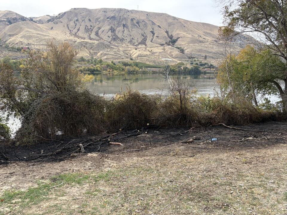Human-caused fire in Kirby Billingsley Hydro Park burns tree - NewsBreak