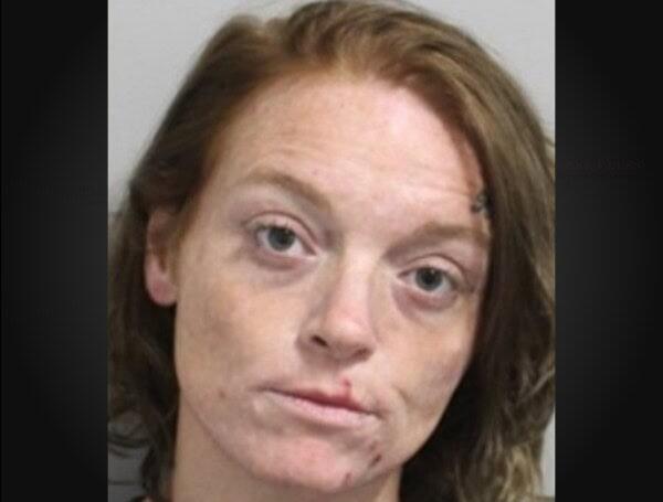 Lakeland Woman Arrested After Bicycle, Foot Chase With Polk County ...
