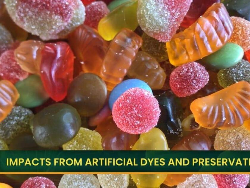Impacts of Artificial Dyes, Chemical Preservatives, and Ultra Processed