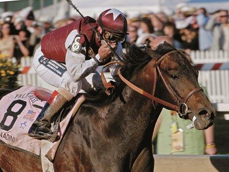 Bernardini Wields Powerful Influence in Breeders' Cup