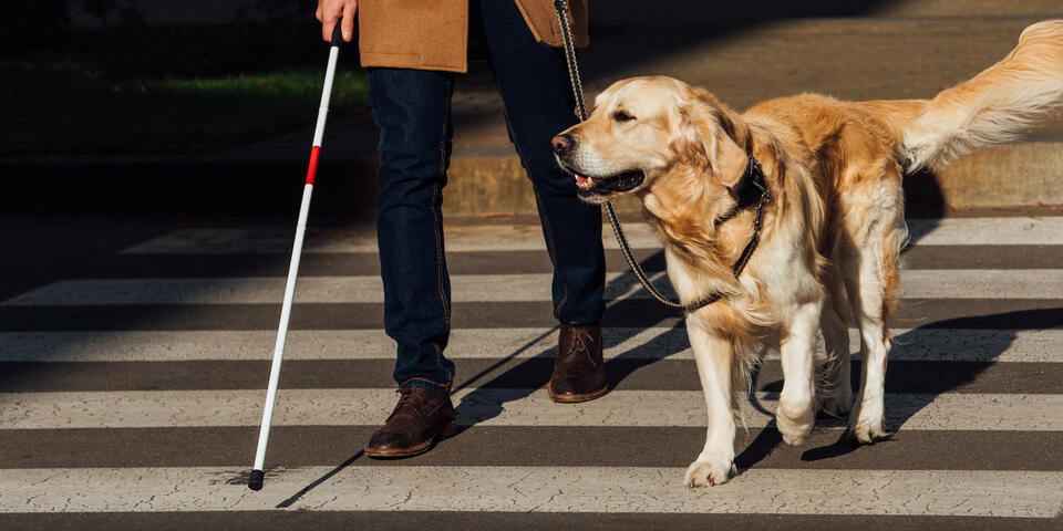 Lewistown Snowy Mountain Chapter of the Montana Association for the Blind hosting monthly meeting on Wednesday