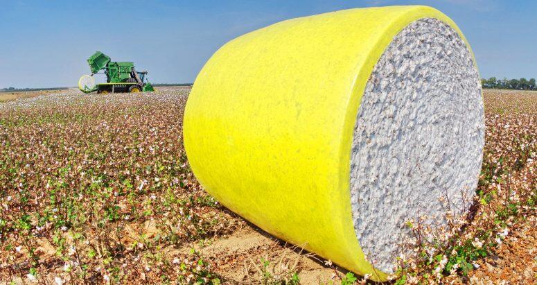 Drought conditions spur early harvest for most Arkansas crops - NewsBreak