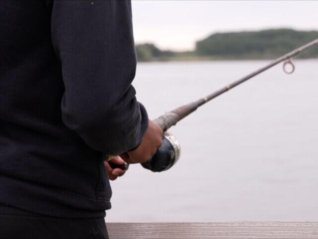 state-guide-updated-on-which-fish-are-safe-to-catch-and-eat-newsbreak