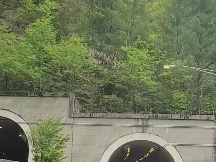 Cars Honking While Driving Through a Tunnel in Tennessee Pixics
