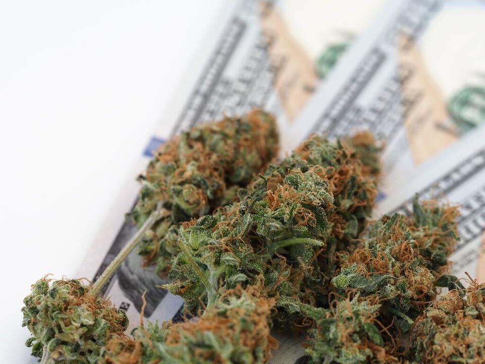Michigan Leads U.S. in Per Capita Marijuana Sales in 2026, New Mexico ...